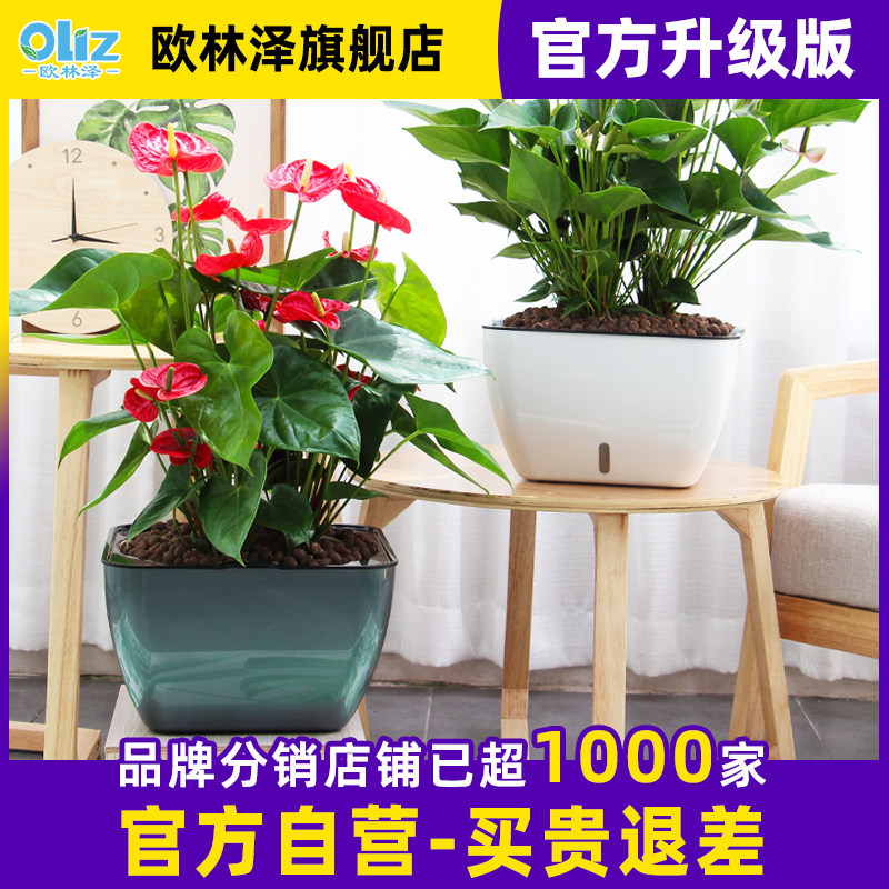 懒人自吸水大口径花盆