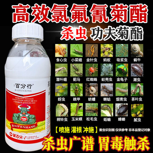 虫卵双杀高效氯氟氰菊酯杀虫剂