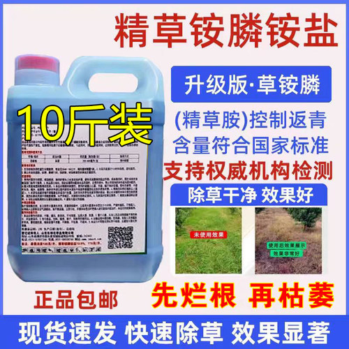 速草霸精草铵膦铵盐正品胺磷除草剂果园茶园杂草牛筋草小飞蓬农药