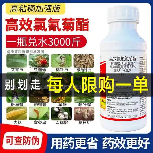 横剑高效氯氟氰菊酯菜青虫杀虫剂