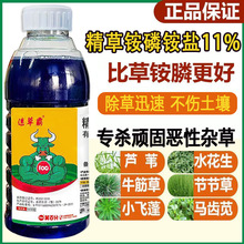 速草风精草胺磷铵盐正品除草剂一扫光杂草果茶园牛筋草小飞蓬专用