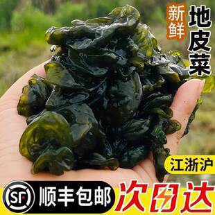 干地皮菜江西地木耳3斤地软地衣地达菜雷公菌雷公屎非干货免洗