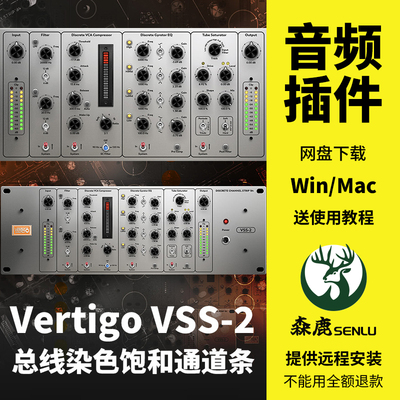 Vertigo VSS-2建模均衡压缩饱和电子管染色通道条混音插件Win/Mac