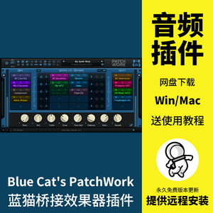 Blue Cats PatchWork蓝猫桥接效果器插件ProTools桥接工具Win/Mac