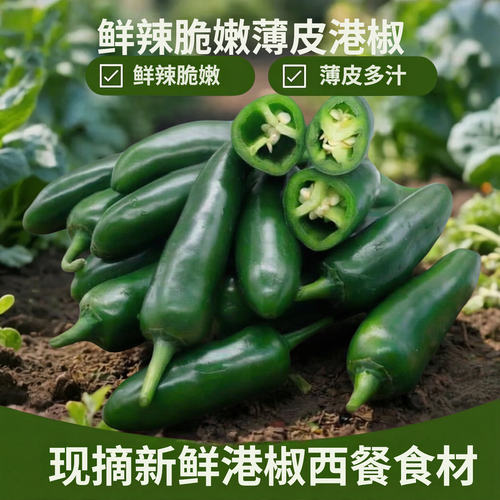 【农家自种】新鲜墨西哥港椒特辣