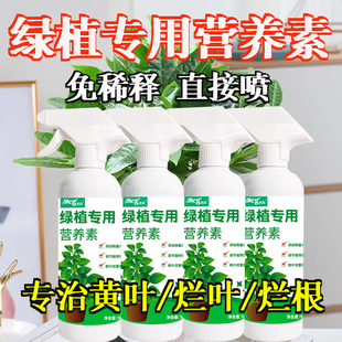 免稀释绿植专用发财树营养液幸福树肥料室内盆栽植物金钱树喷施肥