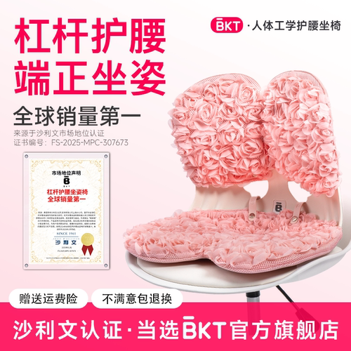 杠杆护腰端正坐姿【花瓣款】