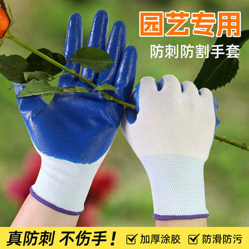 园艺用品种花种菜拔草