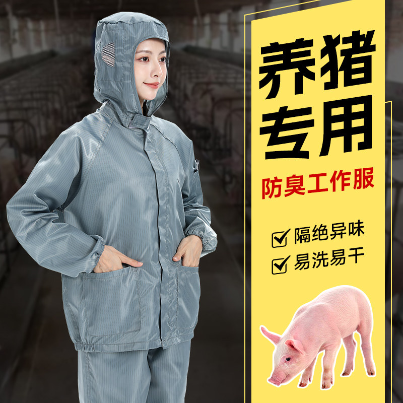 喂猪工作服养殖场专用防臭防脏清洁防护服养猪牛羊分体连帽男女服,居家日用,防护服,淘宝优惠券,粉丝福利购,淘宝优惠卷