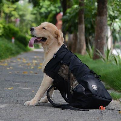 Carrier Bag For Dogs Pet Outdoor Dog Backpack Hiking Cycling