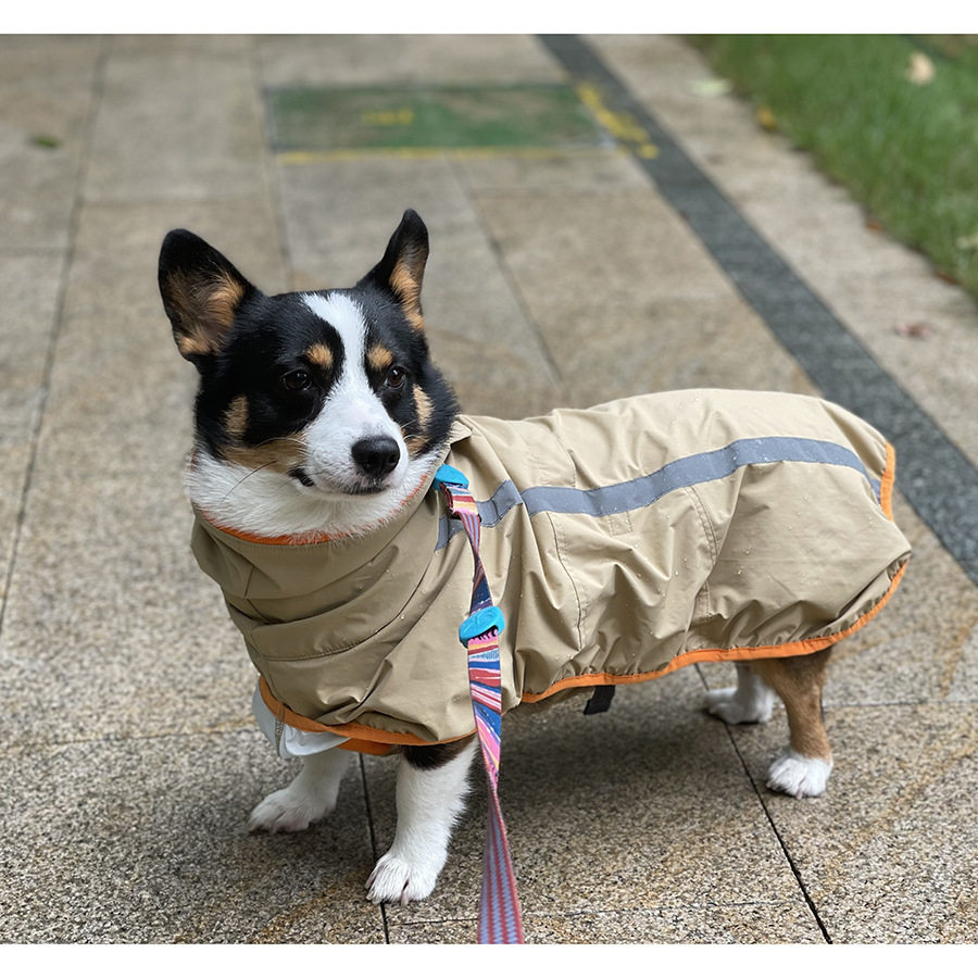 大型犬猫柯基雨衣行走安