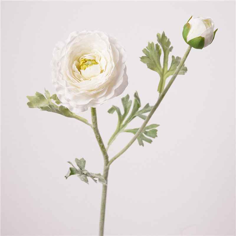 手感保湿花毛莨洋牡丹客