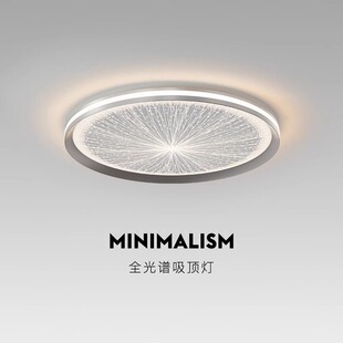 满天星吸顶灯冰花主卧室吸顶灯全光谱意式 北欧现代简约高级感灯具