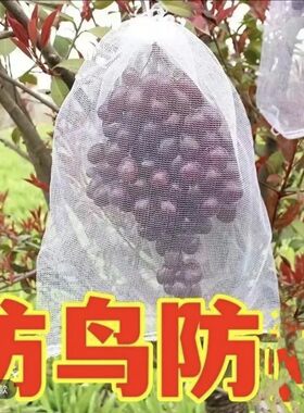 水果葡萄套袋防虫防鸟白色纱网袋子透气防果蝇套树苗枇杷果树网袋