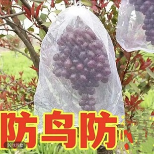 水果葡萄套袋防虫防鸟白色纱网袋子透气防果蝇套树苗枇杷果树网袋