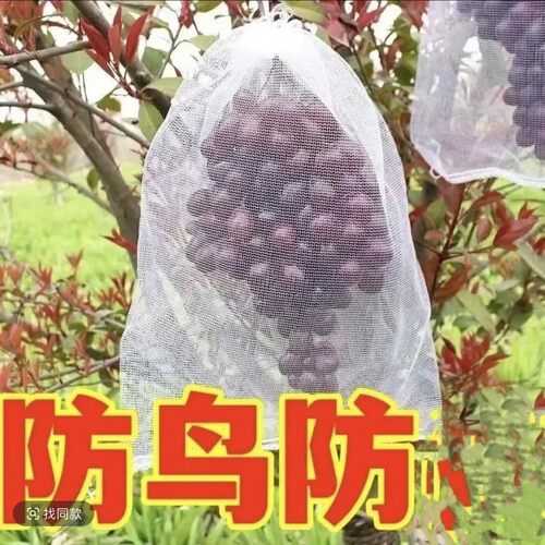 水果葡萄套袋防虫防鸟白色纱网袋子透气防果蝇套树苗枇杷果树网袋