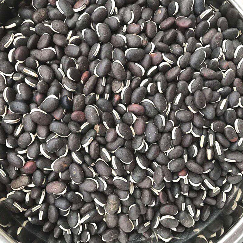 葛藤种子护坡种籽背藤野葛根边坡绿化藤本植物沙土巩固爬藤拉巴豆