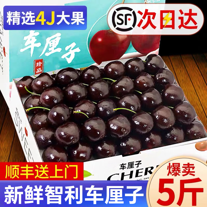 智利车厘子新鲜水果进口大樱桃4J特大果包邮5斤礼盒装新鲜现货发