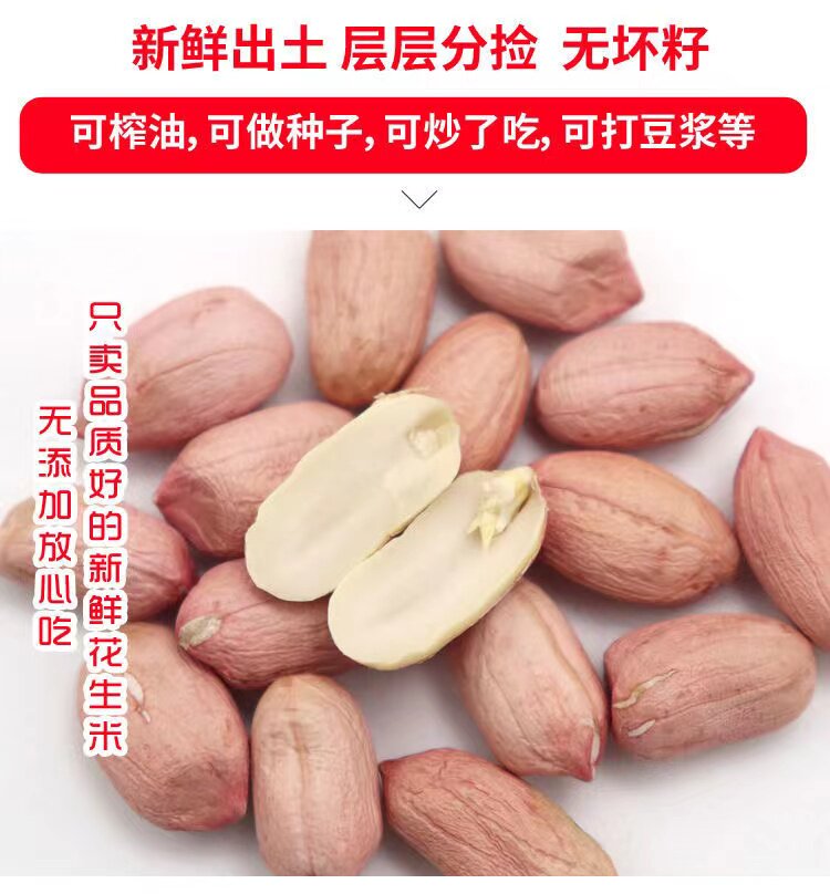 曲阳县 精选新生花生米花生豆 花生