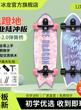 冰龙B7-2.0陆地冲浪板初学者专业滑板陆冲儿童成人男女路冲slide
