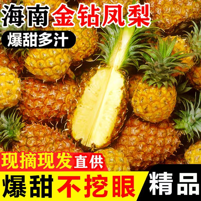 【正宗】海南金钻凤梨新鲜现摘应季水果孕妇手撕无眼菠萝大果包邮图片