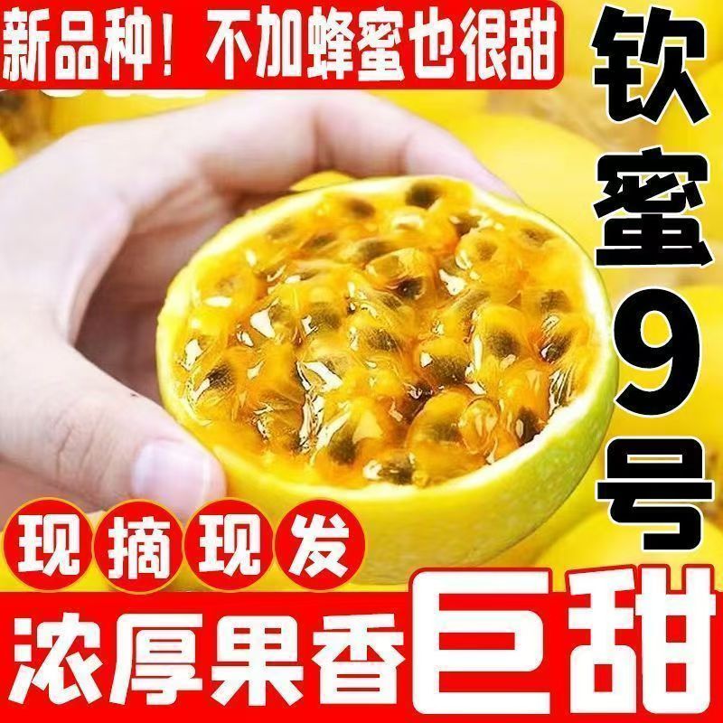 正品钦蜜9号大果新鲜直发黄金百百香果