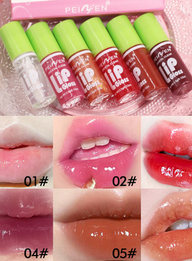 跨境佩妮芬唇釉套装批发唇蜜唇彩口红镜面水雾不粘杯lipgloss外贸
