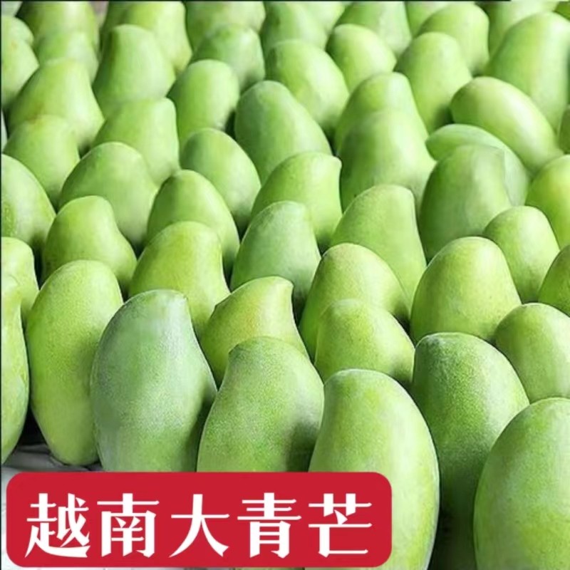越南大青芒进口大玉芒果新鲜水果
