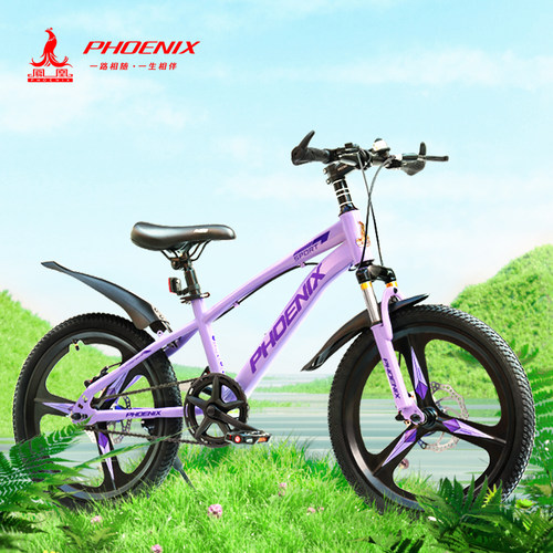 Phoenix/凤凰新品6-14岁女童单车