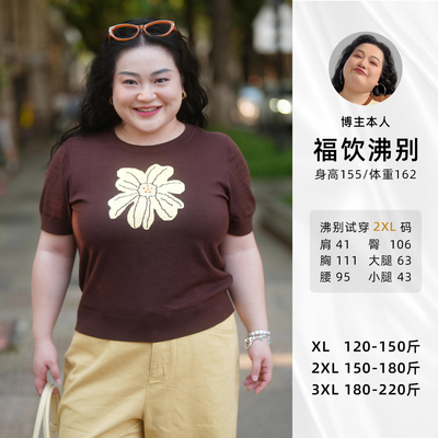 福饮沸别【轻蕊织风】大码胖mm显瘦花朵短袖针织毛衣YP25081