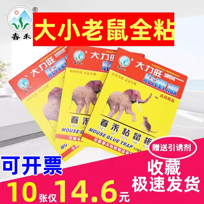 【加厚大力旺】春禾粘鼠板中号加大加厚型老鼠贴大力旺粘大老鼠灭
