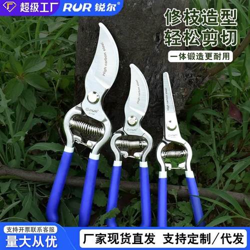 修枝剪刀果树剪刀花剪园艺剪子花艺修剪树枝剪刀花枝剪修花粗枝剪