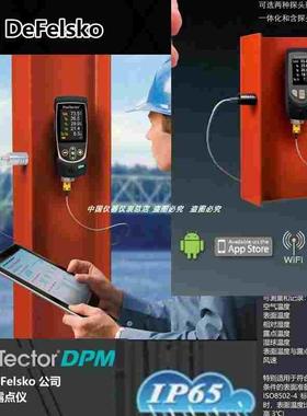 狄夫斯高温湿度露点仪DPMD1/DPMD3 湿球漆膜表面露点温度相对湿度