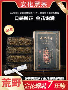 安化黑茶：穿越千年的茶香