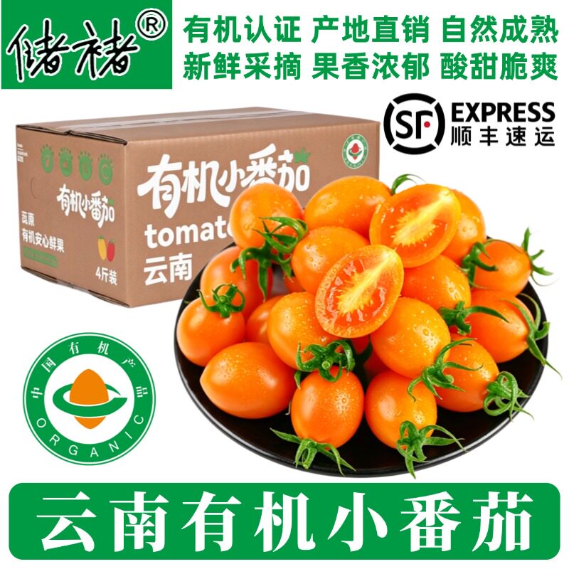 【有机】小番茄 黄圣女果 新鲜孕妇水果 生吃水果蔬菜沙拉礼盒装