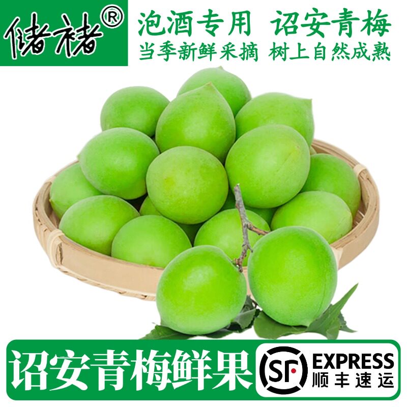 【顺丰】诏安新鲜青梅果青梅鲜果酸脆梅子泡青梅酵素梅子现摘泡酒