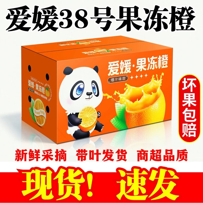 爱媛四川果冻橙整箱包邮