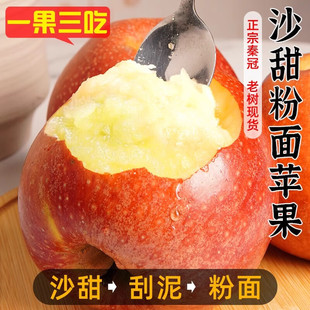 粉面沙甜苹果老年人吃的面苹果宝宝刮泥水果非花牛苹果9斤红香蕉