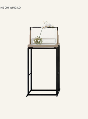 意大利进口正版 Dimensione Chi Wing Lo 卢志荣 Doro 花器花架