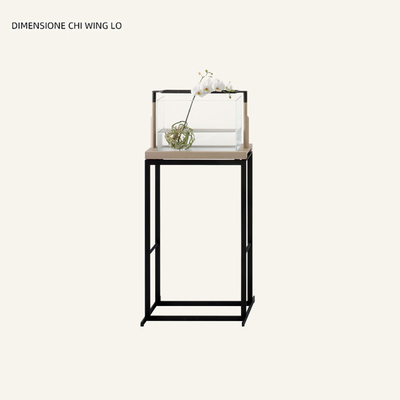 意大利进口正版 Dimensione Chi Wing Lo 卢志荣 Doro 花器花架