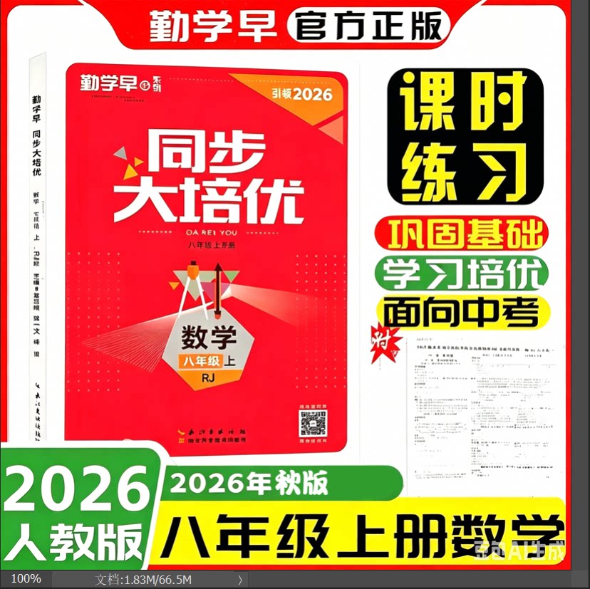 2026新版勤学早大培优八年级数学上下册人教版RJ 勤学早大培优初中初二八年级上下册 学生用书（人教版）八上大培优（送答案）