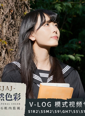 【松下lut】vlog自然色彩方案｜up主自制机内监视烧录luts1r2s5