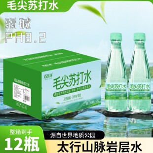 百乐洋正宗信阳毛尖苏打水茶味苏打整箱12瓶弱碱清爽解腻夏季饮品