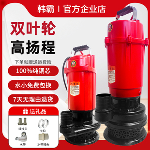 双叶轮高扬程大流量乐山正宗电机纯铜芯抽河水鱼塘农田灌溉化粪池