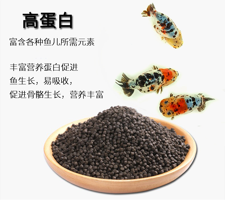 高蛋白金鱼饲料兰寿泰狮玛丽专用鱼食增体小颗粒上浮型下沉不浑水