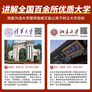 211百所大学名校目标墙高中高考目标励志挂图名校激励榜 国内985