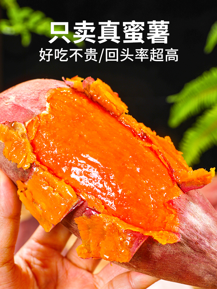 福建六鳌红心蜜薯10斤新鲜地瓜现