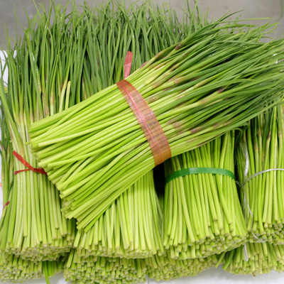 新鲜蒜苔5斤助农家蔬菜青毫