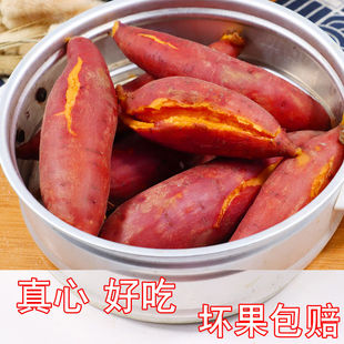 现挖农家自种沙地红蜜薯10斤红心地瓜新鲜板栗香蕃薯蔬菜整箱包邮