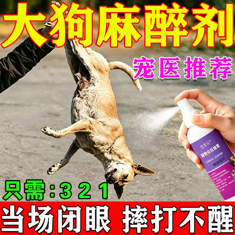 狗狗麻醉快速睡眠一闻倒情绪安抚